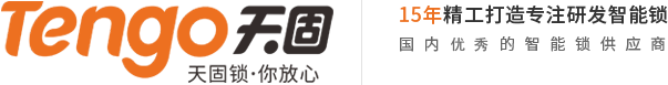 天固tengo