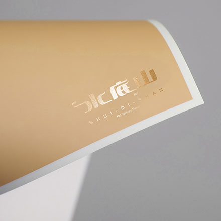 意大利女表的 vi設(shè)計公司