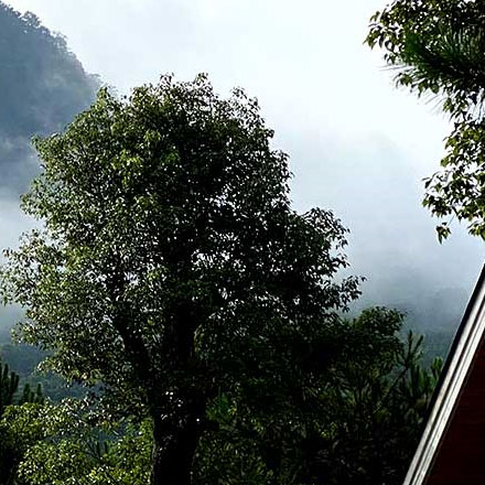 深圳vi設計作品案例展示