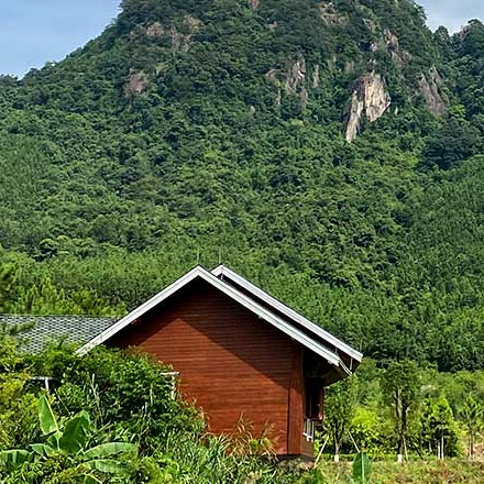 大型活動策劃案-大型活動VI設(shè)計品牌策劃案